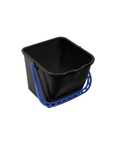 Secchi "BACK IS GREEN"