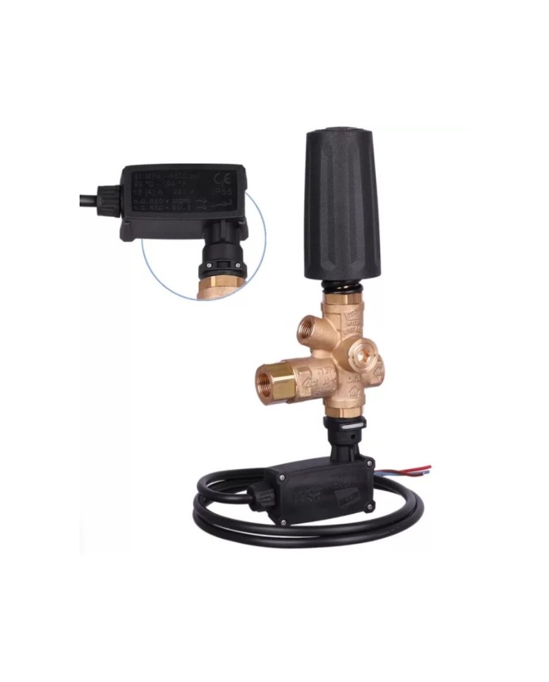 Valvola di regolazione bypass BRV31 T